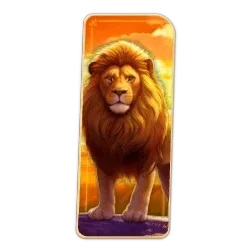 Lion
Safari